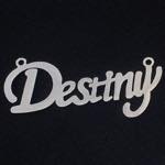 メッセージコネクトステンレスパーツ（Destiny）
