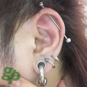 ����ɕv����̎��̃{�f�B�s�A�X