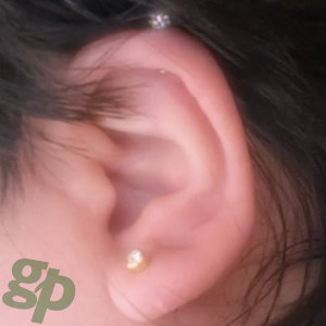 ���i����̎��̃{�f�B�s�A�X