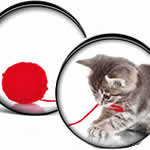 毛糸玉で遊ぶ猫 樹脂製ネジ式フレア /1ペア