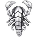 �X�R�[�s�I�� �X�e�����X �t�[�v�s�A�X